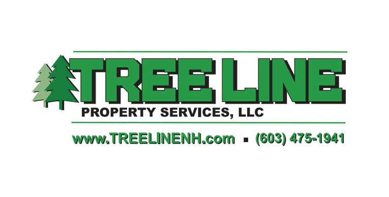 Transform Your Yard with Expert Tree Services from Tree Line Property Services