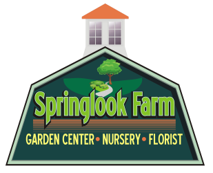 The verdant oasis of Springlook Farm's garden and nursery center, a local treasure in Derry, NH.