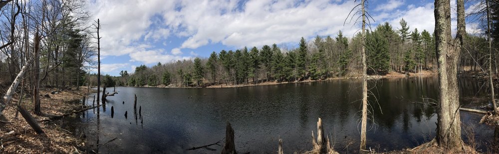 Windham Rail Trail: Your Gateway to Outdoor Adventures in Derry