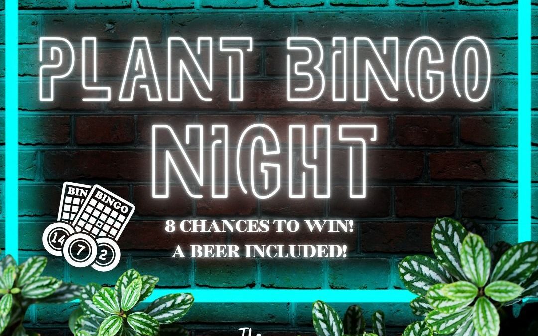 Plant Bingo Night: Win Prizes and Enjoy Craft Beer in Derry