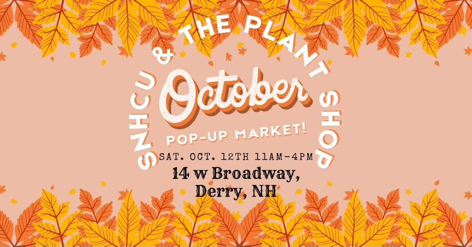 Shop Unique Fall Gifts at Derry’s October Pop-Up Event!